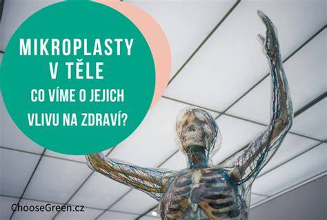 Schéma rozložení ložisek endometriózy v malé pánvi a jejich vliv na vejcovody