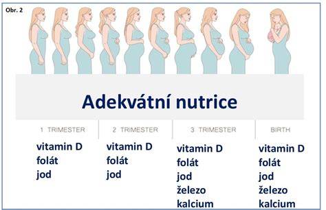 Infografika: Vývoj těhotenství a význam těhotenských šperků
