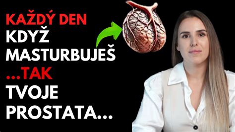 anatomická kresba mužského reprodukčního systému s vyznačenou prostatou a varlaty