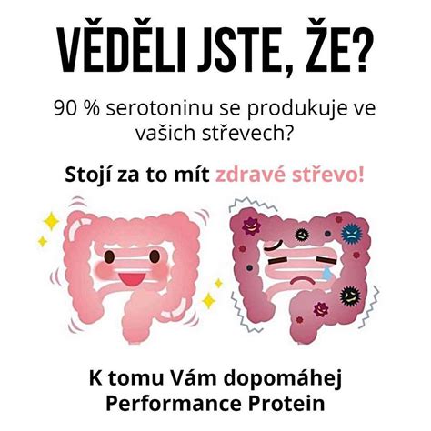 Schéma s vyobrazením probiotických a prebiotických vláken a jejich působením ve střevech