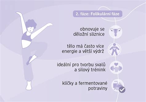 Vývoj folikulu ve vaječníku během folikulární fáze