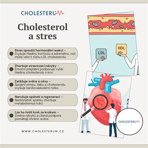 Ilustrace znázorňující vliv oxidativního stresu na DNA spermií