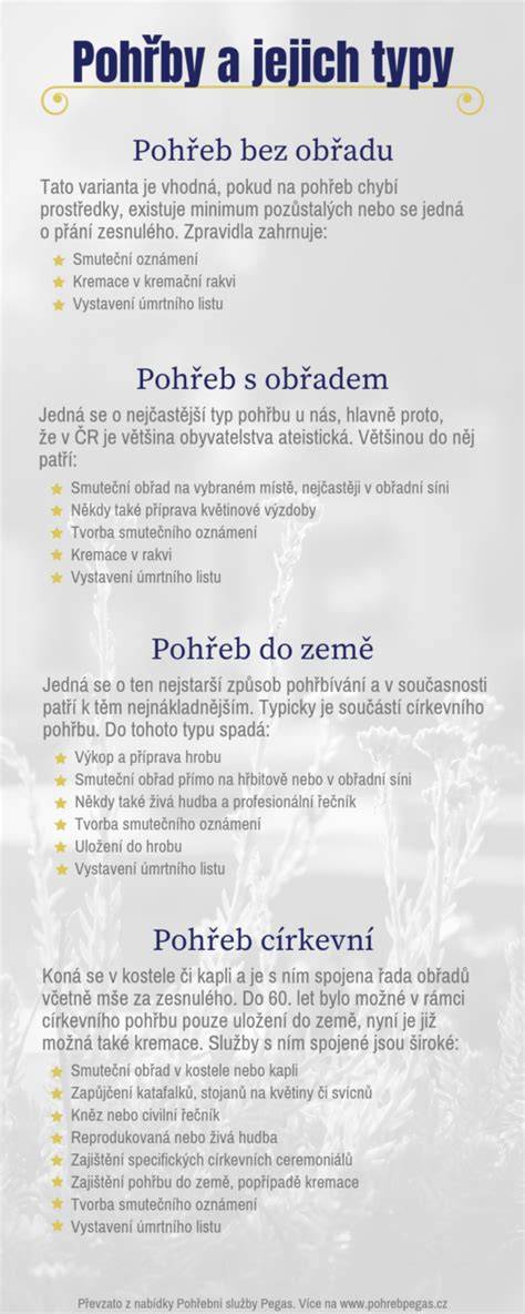 Infografika: typy chrastítek Chicco a jejich benefity