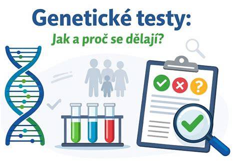 Infografika: Jak probíhají genetické testy před IVF