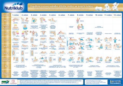 Infografika: Milníky psychomotorického vývoje dítěte do 12 měsíců