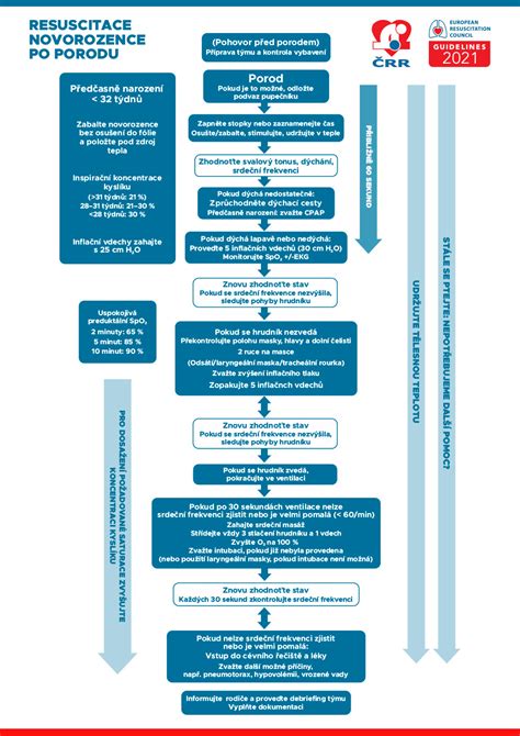 infografika zobrazující doporučené a nedoporučené aktivity po porodu