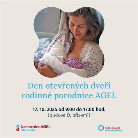 Infografika: Struktura porodních domů a center vs. porodnice
