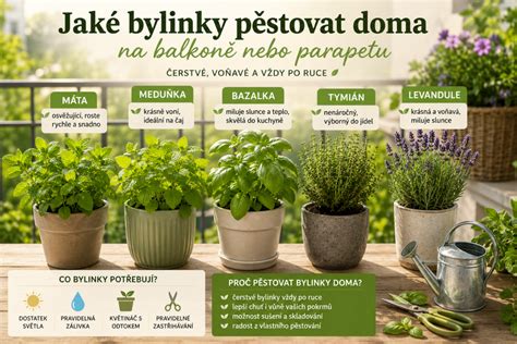 infografika s přehledem vhodných bylinek a doplňků stravy pro těhotné