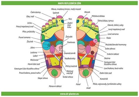 Diagnostická mapa reflexních bodů pro těhotné