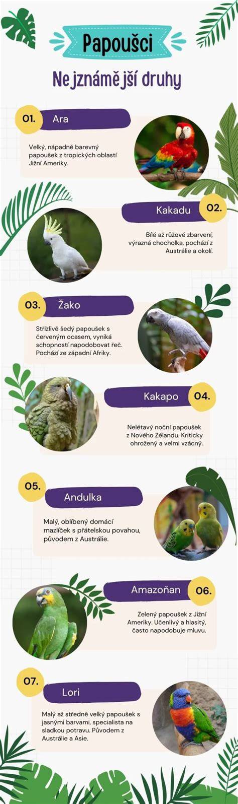 Infografika: druhy adaptací a jejich příklady