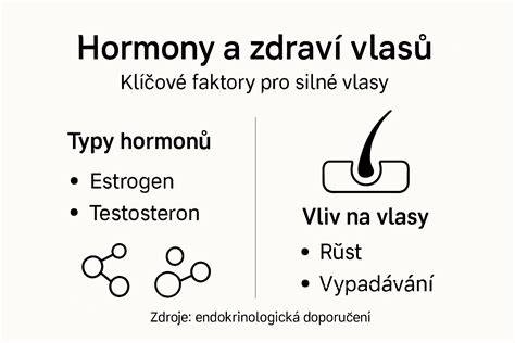 Infografika: Vlasy a hormonální změny během těhotenství a poporodního období