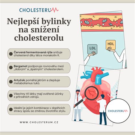 Infografika zobrazující různé formy léků na snížení horečky