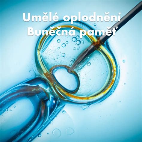 Infografika: Metylace a buněčná paměť v embryonálním vývoji