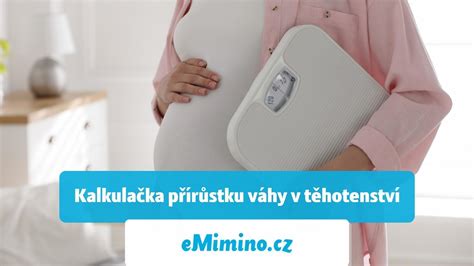 infografika s rozpisem složek váhového přírůstku v těhotenství