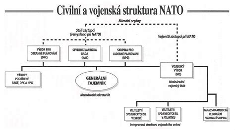 Schéma struktury pediatrické anamnézy