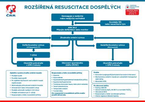 Schéma rozdělení šestinedělí a doporučené činnosti