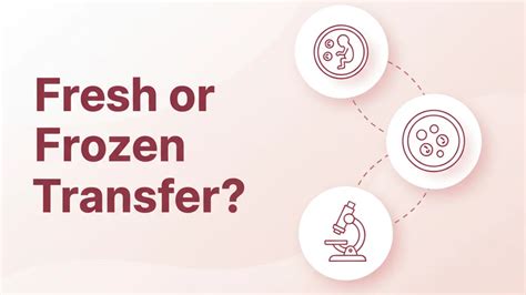 Infografika: Čerstvý transfer vs. Kryoembryotransfer (KET)