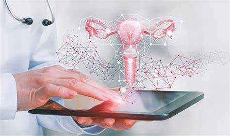 Infografika: anatomie děložní dutiny a postup kyretáže