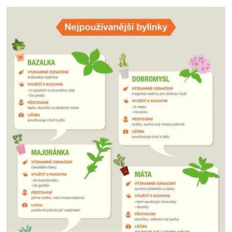 Infografika: Bylinky v těhotenství a jejich bezpečnost (rozlišení rizikových a bezpečných bylin)