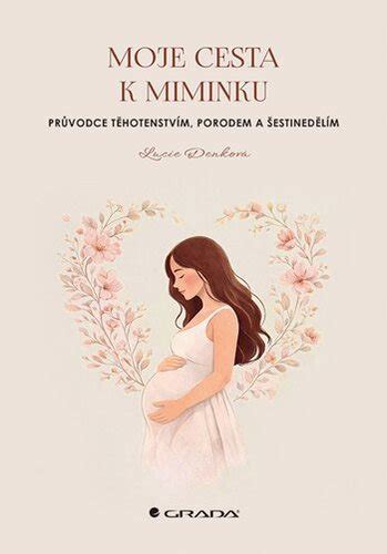 Infografika: Cesta k miminku - od vyšetření po IVF/ADOPCI