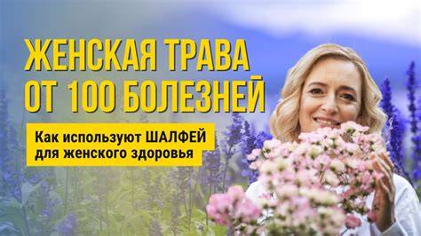 Schéma vztahů postav a jejich rolí během těhotenství a rodinných scén