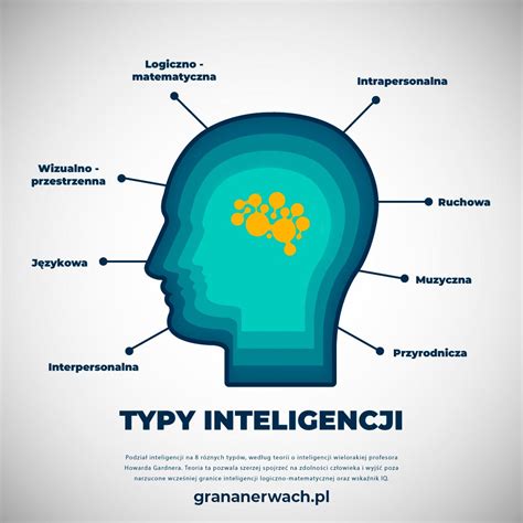 Infografika: typy přebalovacích podložek