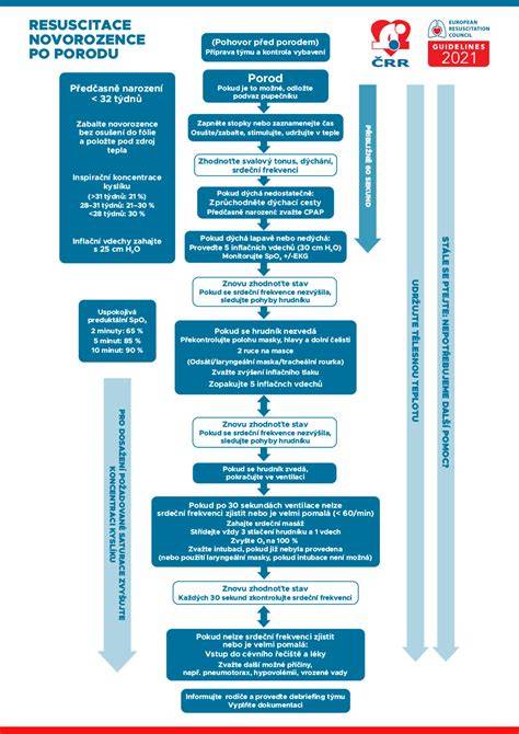 Diagram: postupy stabilizace novorozence po porodu