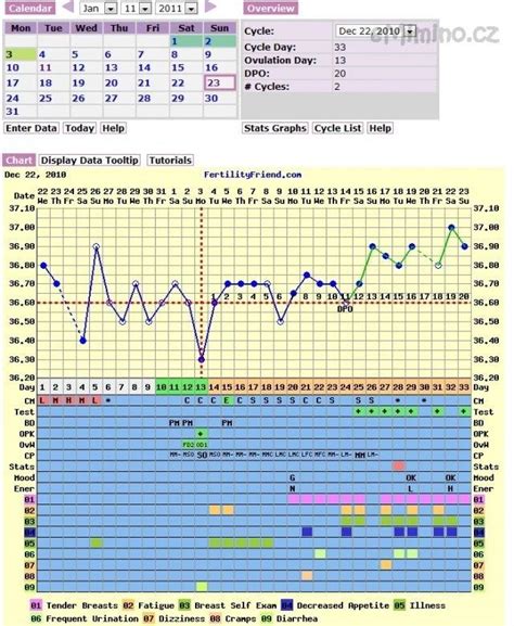 infografika zobrazující běžné příznaky třetího trimestru