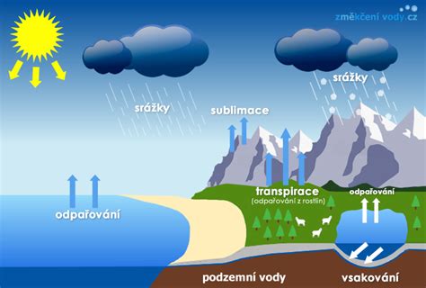 schéma koloběhu plodové vody