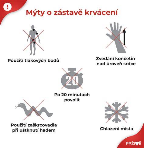 Infografika: Průběh implantace a možné příčiny krvácení v prvním trimestru