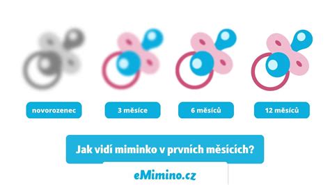 Infografika: vývoj zraku v prvních měsících