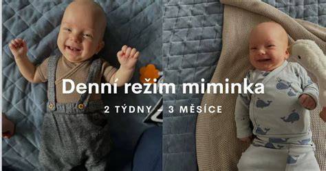 Graf: denní rytmy dvouměsíčního miminka