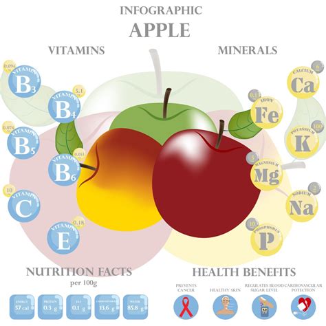 Infografika: Dělení vitamínů a minerálů podle trimestru