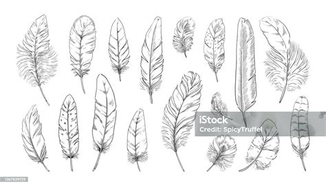 Ilustrace peří s uvězněnými vzduchovými bublinami