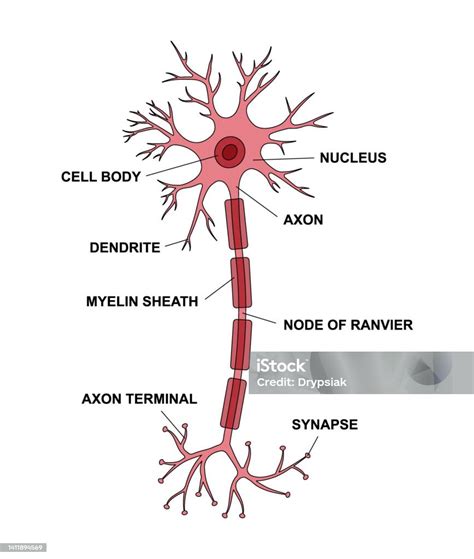 Detailní schéma kazetové přikrývky s popisem komor