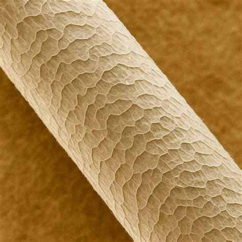 Infografika srovnávající vlastnosti merino vlny a syntetických materiálů