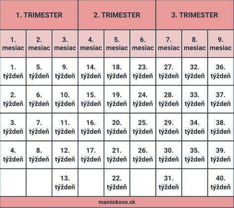 infografika_29_tyzden_tetotest.jpg