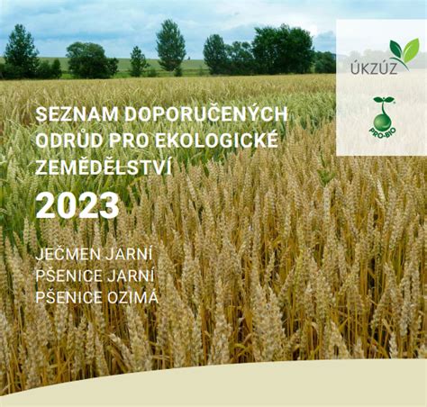 Seznam doporučených doplňků k postýlce