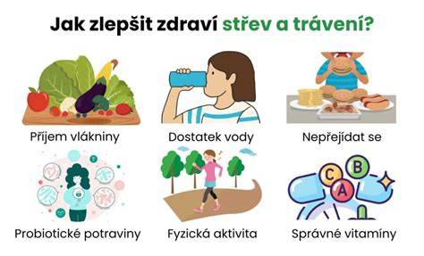 Infografika: Jak fenykl prospívá trávení a kojení