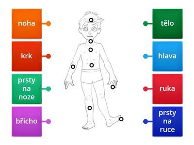 Schéma znázorňující nejčastěji otékající části těla po porodu, s důrazem na nohy, kotníky a chodidla.