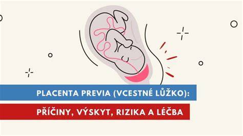 Ilustrace: placenta a průnik léků k plodu