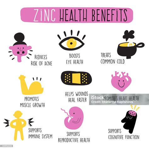Infografika zobrazující hlavní přínosy ženšenu pro zdraví