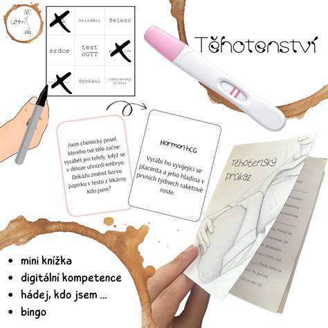 Infografika: Cesta porodu - od těhotenství k porodu a šestinedělí