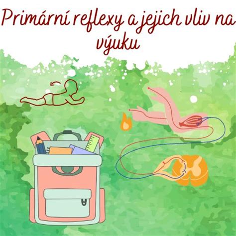 Obr.1: Ilustrace poloh lehátek a jejich vliv na motorický vývoj