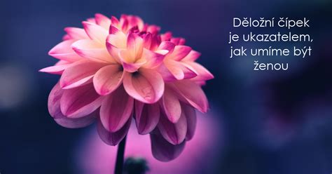 Pohled na děložní čípek „zespodu“.