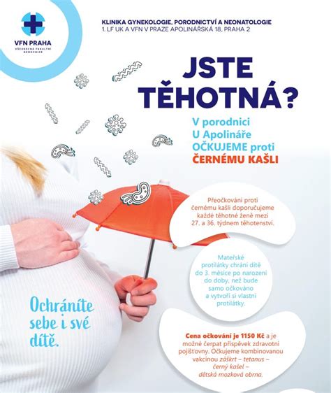 infografika s přehledem doporučených očkování v těhotenství