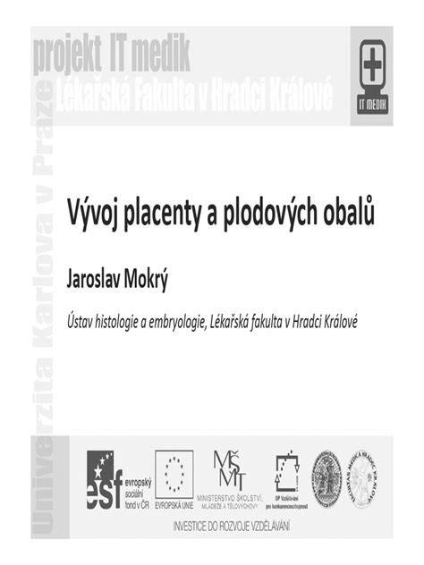 Obrázek znázorňující anatomii plodových obalů a průběh odtoku