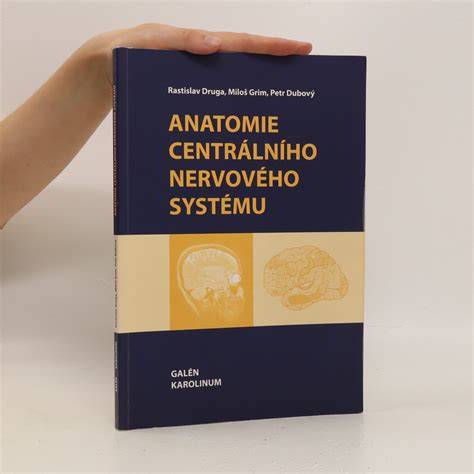 Diagram CVI a vliv centrálního nervového systému na zrakové funkce