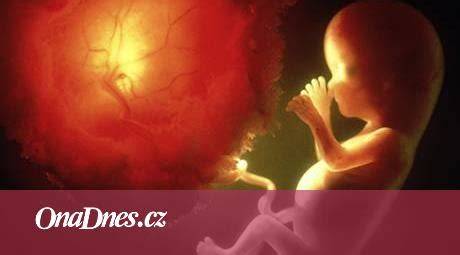 Infografika znázorňující přenos infekčních agens z matky na plod během gravidity