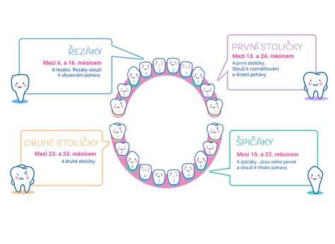 Infografika: průběh prořezávání mléčných zubů a doporučené pomůcky